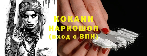 стаф Дмитриев