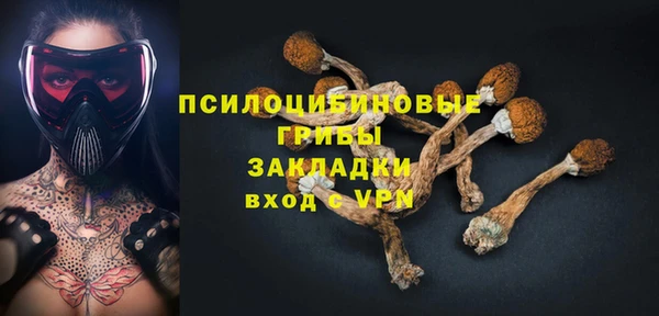 стаф Дмитриев