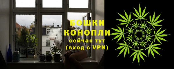 стаф Дмитриев