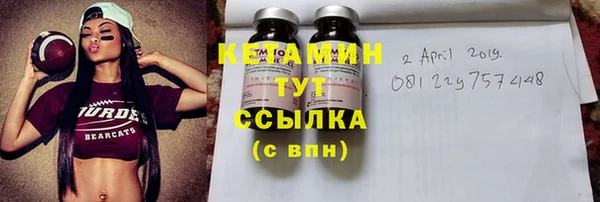 стаф Дмитриев