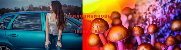 стаф Дмитриев