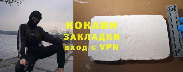 стаф Дмитриев