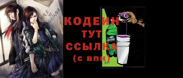 стаф Дмитриев