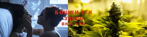 МДПВ Дмитров