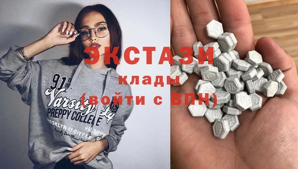 стаф Дмитриев