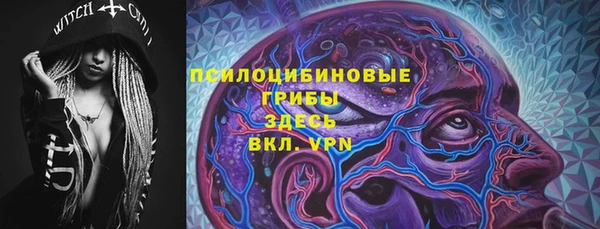 стаф Дмитриев