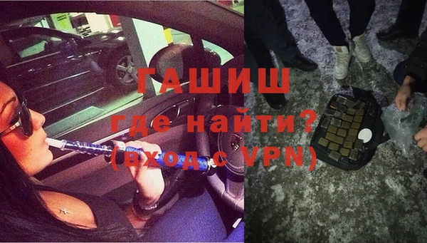 стаф Дмитриев