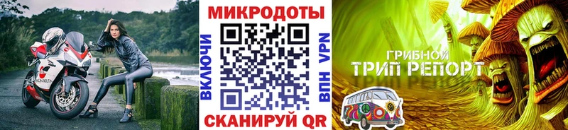 закладка Тосно Псилоцибиновые грибы Psilocybine cubensis