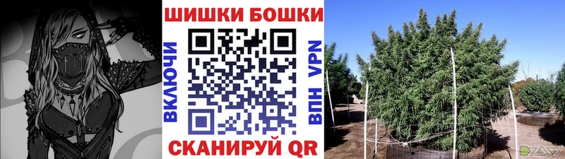 Бошки Шишки конопля  кракен tor  Тосно 